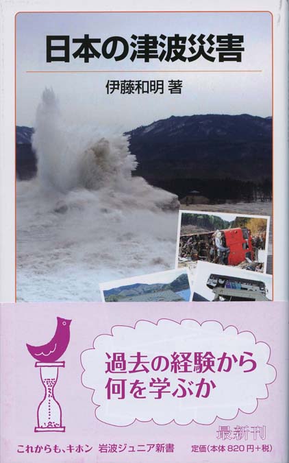 地震と噴火の日本史 | 新書マップ4D