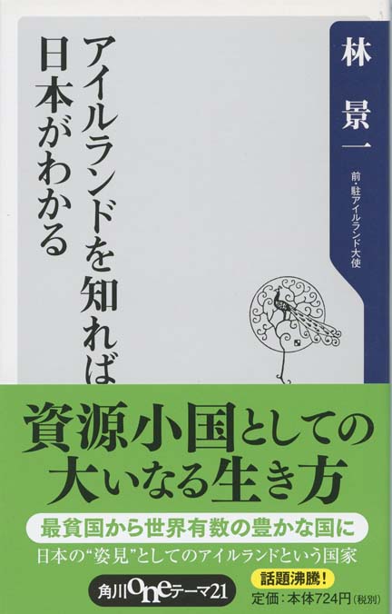 ▲01)【1点限り!】【除籍本】アイルランド・ゲール語辞典/前田真利子/醍醐文子/大学書林/平成15年発行/2003年/辞書/事典/言語学/ケルト語/A 71dUWQbMObL.jpg