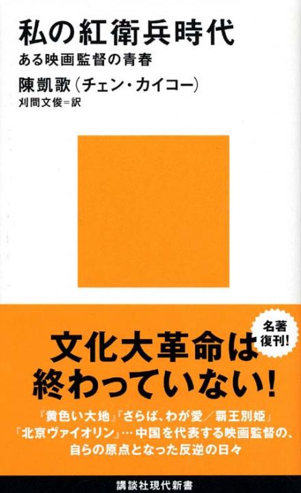 未完の中国文化大革命 : 毛沢東と日本の連動 | 新書マップ4D