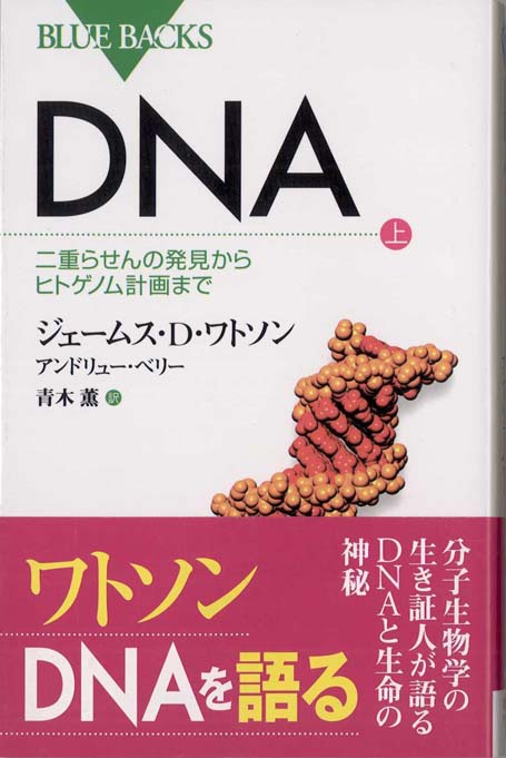 新・分子生物学入門 : ここまでわかった遺伝子のはたらき | 新書マップ4D