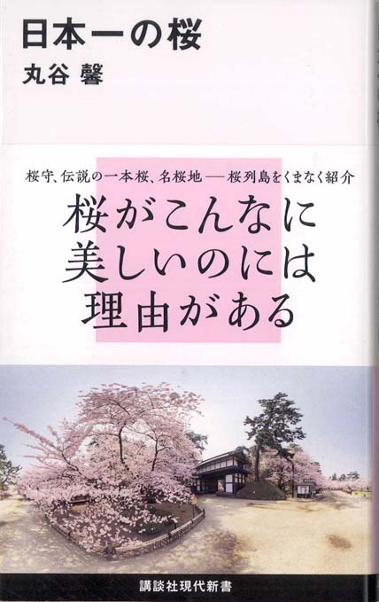 桜守三代佐野藤右衛門口伝 | 新書マップ4D