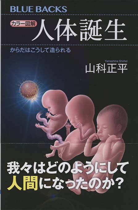 新・細胞を読む : 「超」顕微鏡で見る生命の姿 | 新書マップ4D
