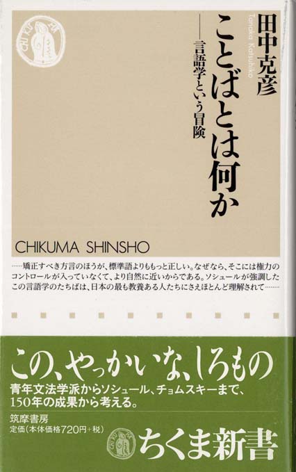 言語の小説と小説の言語 僕たちは言葉について何も知らない：孤独、誤解、もどかしさの