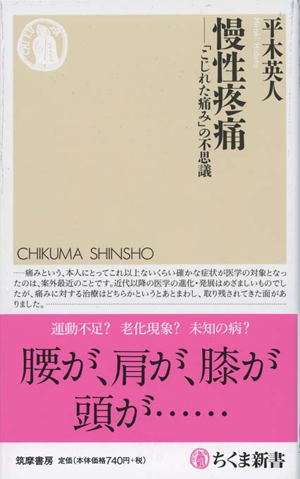 慢性疼痛 : 「こじれた痛み」の不思議 | 新書マップ4D