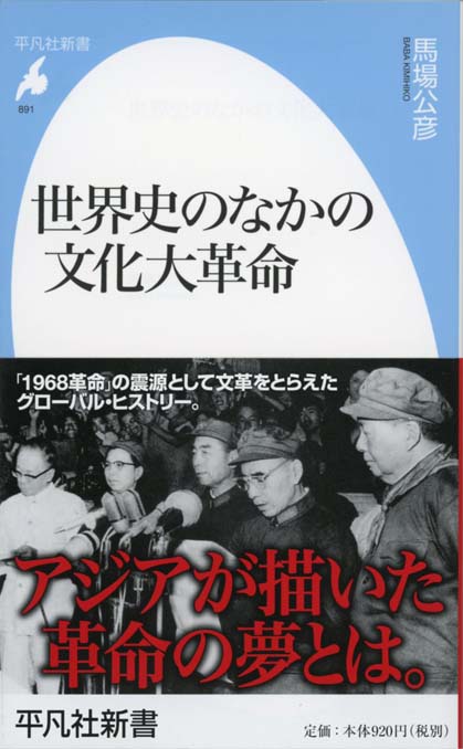 世界史のなかの文化大革命 | 新書マップ4D