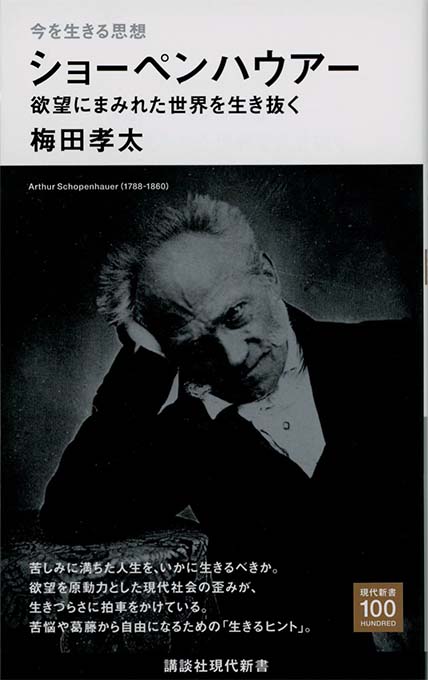 【希少品】ショーペンハウアー哲学の再構築 ショーペンハウアー哲学の再構築: 充足根拠律の四方向に分岐した