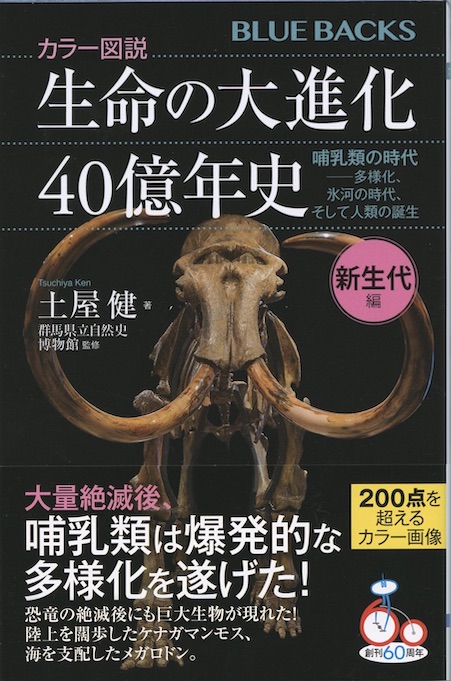 大自然の気による教育革命—人間は大自然の産物である Amazon.co.jp: 文庫 「自然」という幻想: 多自然ガーデニング