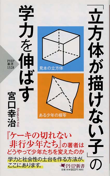 ケーキの切れない非行少年たち 「子供を殺してください」という親たち 24冊セット ケーキの切れない非行少年たち | 新書マップ4D
